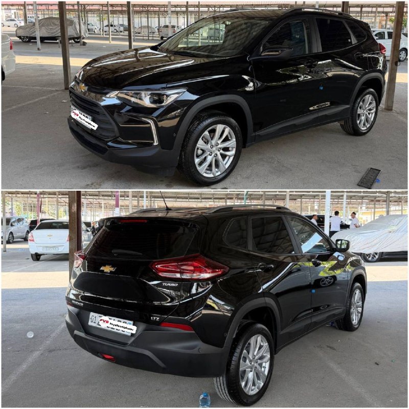 Tracker LTZ — 1