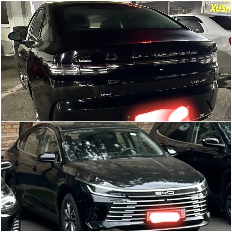 BYD Chazor 1-позиция 55 км — 1