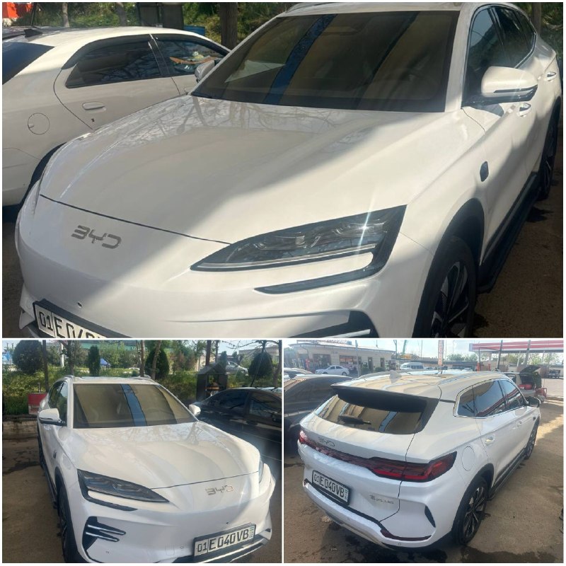 BYD Champion Smart — 1