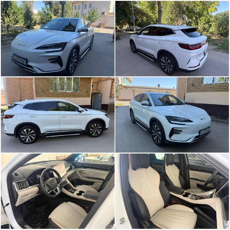 BYD CHIMPION 605