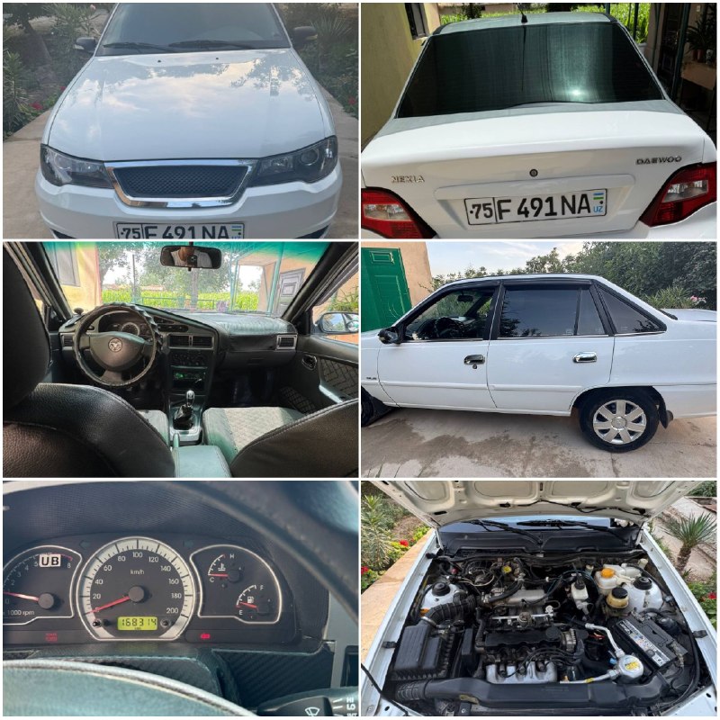 Daewoo Nexia 2 Sons