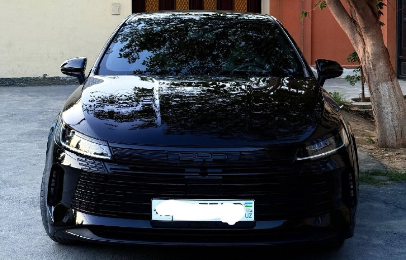 BYD Chazor 1-позиция